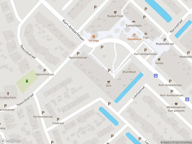 Overlastmelding Kort-Ambachtlaan in 3333EP Zwijndrecht