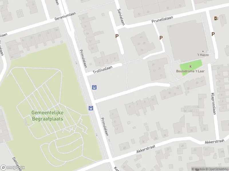 Overlastmelding Trolliuslaan in Waalre gesloten