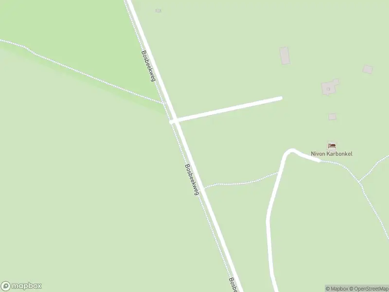 Brandweer met gepaste spoed naar de Bosbeekweg in Bennekom vanwege stormschade