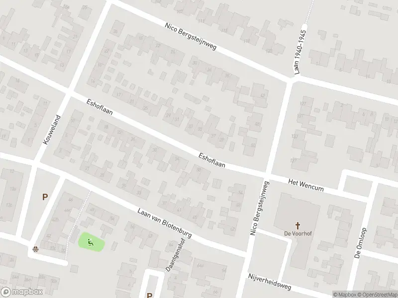 Overlastmelding Nico Bergsteijnweg in Woudenberg