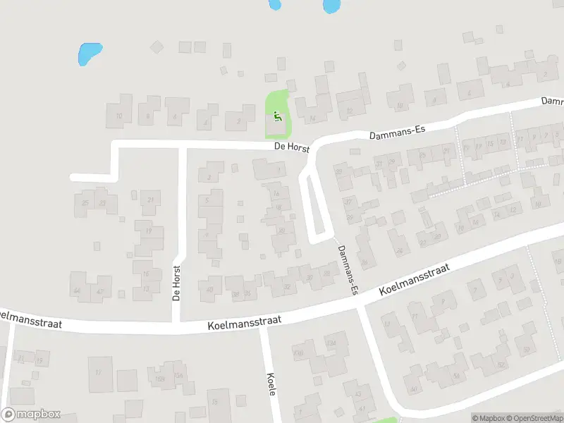Overlastmelding Koelmansstraat in Dalfsen