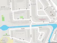 Overlastmelding Zilvermeeuw in Noordwijk