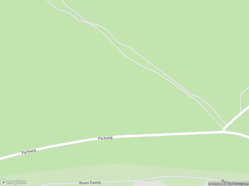 Brandweer met gepaste spoed naar de Lemelerweg in Lemele vanwege stormschade