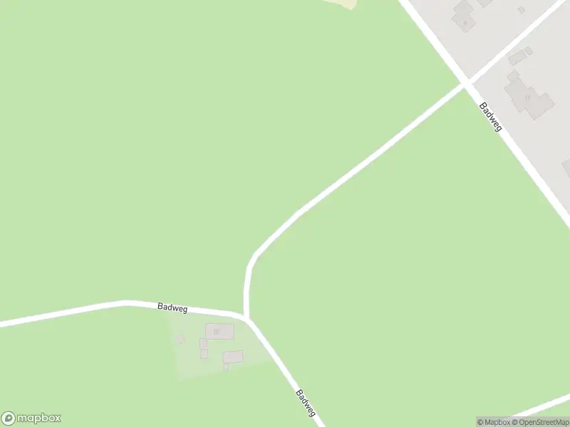 Brandweer met gepaste spoed naar de Badweg in Doornspijk vanwege stormschade