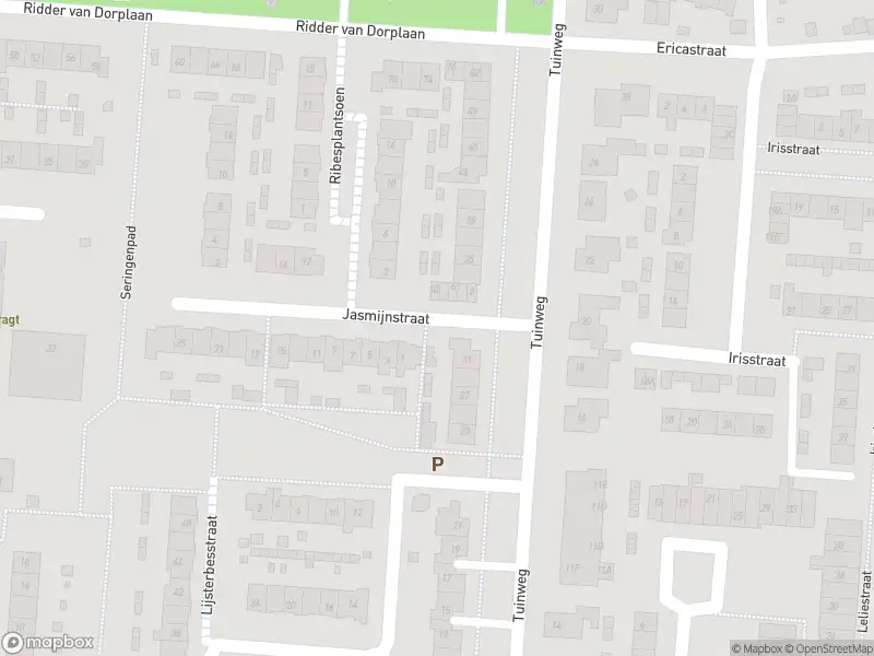 Ambulance met gepaste spoed naar de Jasmijnstraat in Zuid-Beijerland