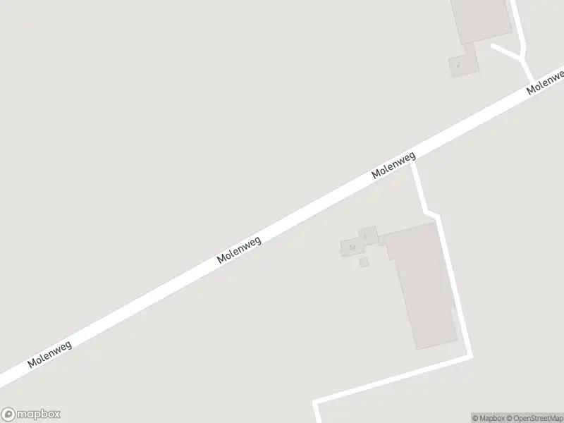 Brandweer met gepaste spoed naar de Molenweg in Giessenburg