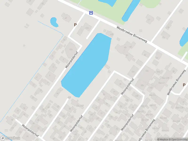 Overlastmelding Westbroekse Binnenweg in Tienhoven