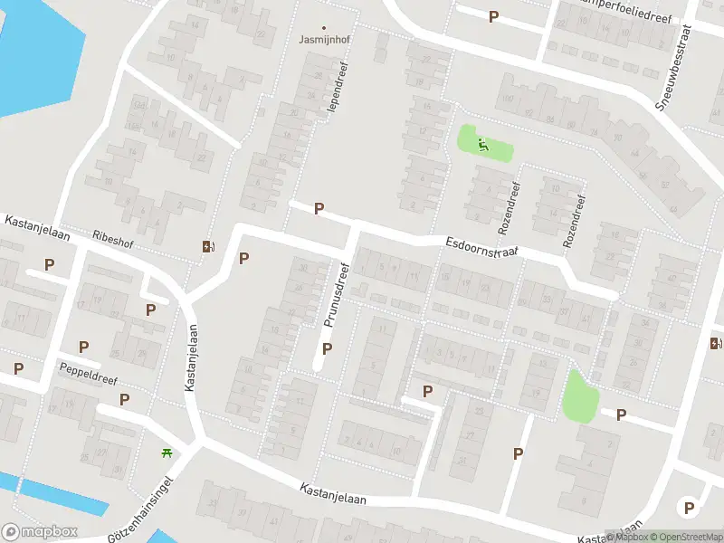 Ambulance met grote spoed naar de Esdoornstraat in Bleiswijk