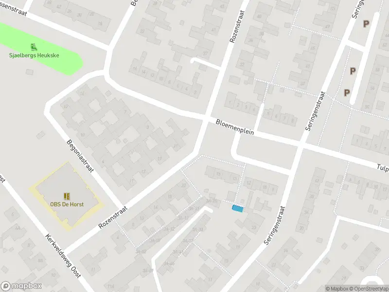 Overlastmelding Seringenstraat in Echt