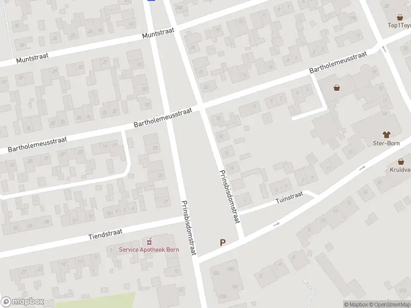Overlastmelding Prinsbisdomstraat in Born