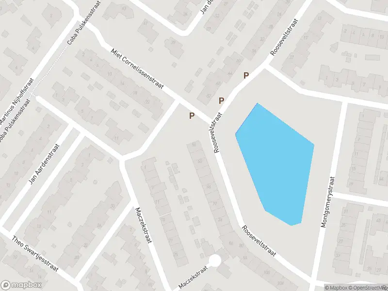 Overlastmelding Rooseveltstraat in Dongen