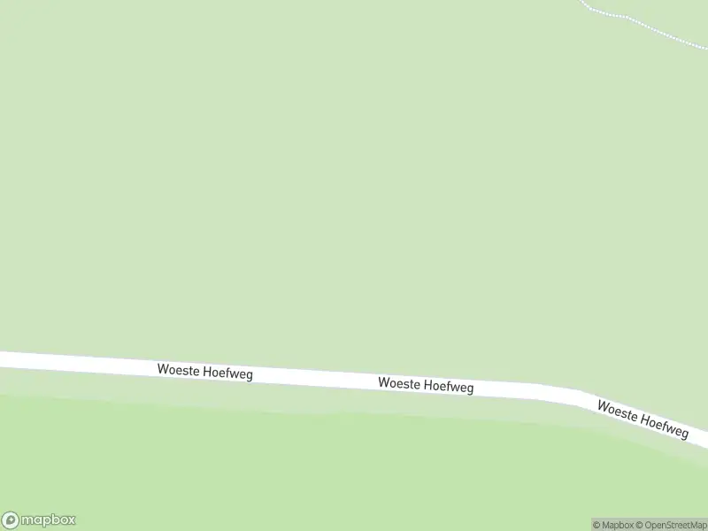 Brandweer met grote spoed naar de Woeste Hoefweg in Hoenderloo vanwege reanimatie