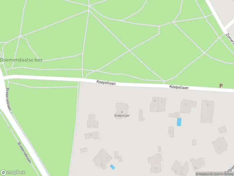Ambulance met grote spoed naar de Sterreboslaan in Bloemendaal