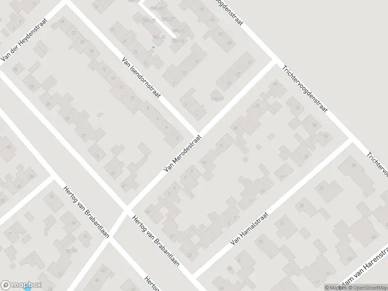 Politie naar de Van Merodestraat in Maastricht