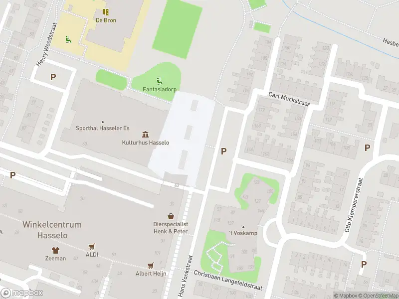 Brandweer met gepaste spoed naar de Christiaan Langefeldstraat in Hengelo
