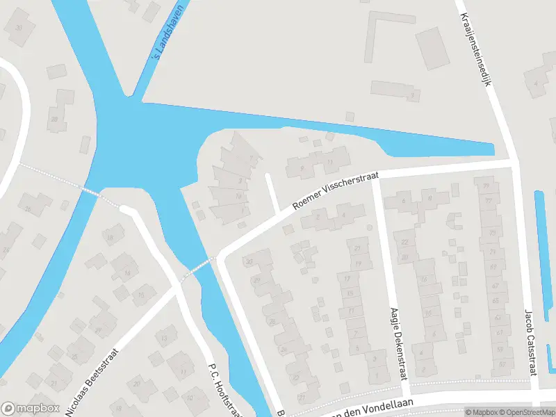 Overlastmelding Roemer Visscherstraat in Sommelsdijk