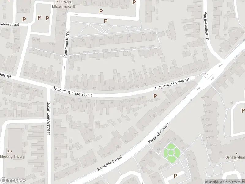 Overlastmelding Tongerlose Hoefstraat in Tilburg gesloten