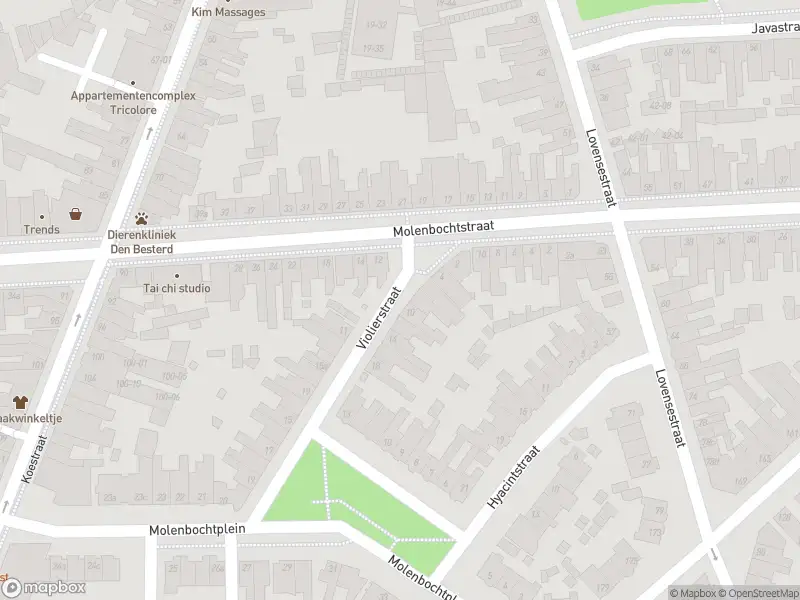Overlastmelding Violierstraat in Tilburg