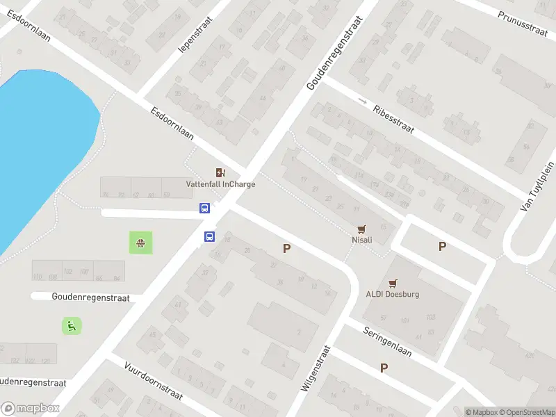 Overlastmelding Burgemeester Keiserplein in Doesburg