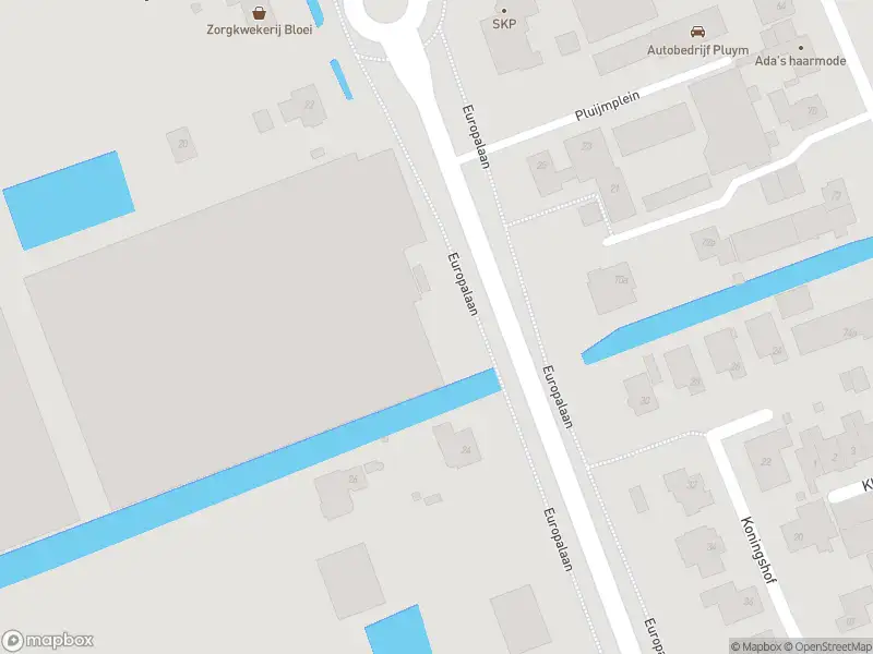 Ambulance met gepaste spoed naar de Europalaan in Pijnacker