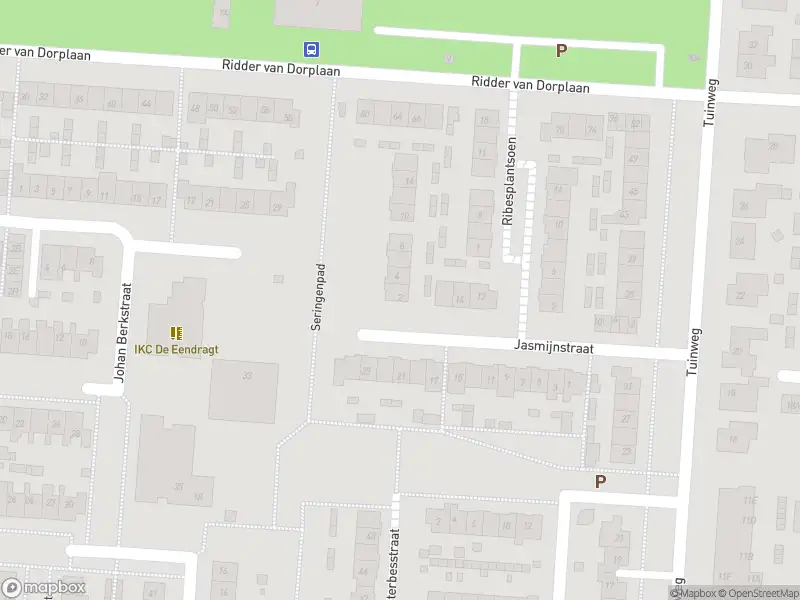 Overlastmelding Seringenpad in Zuid-Beijerland