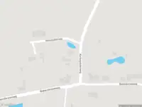 Brandweer met gepaste spoed naar de Kerkepolderweg in Baarland vanwege dier(en) in nood