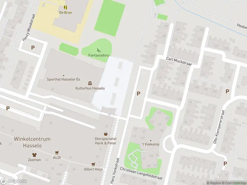 Brandweer met gepaste spoed naar de Robert Stolzstraat in Hengelo