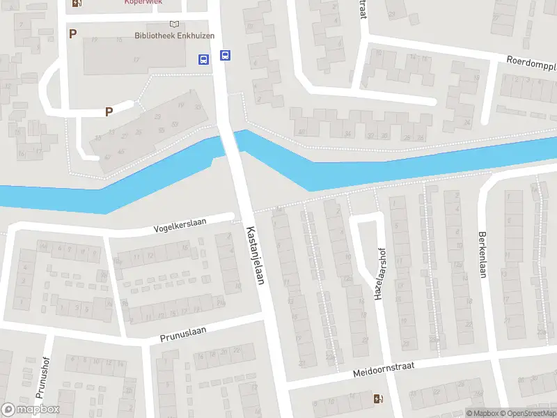 Overlastmelding Kastanjelaan in Enkhuizen