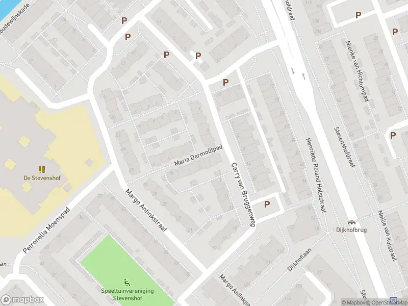 Ambulance met grote spoed naar de Maria Dermoûtpad in Leiden