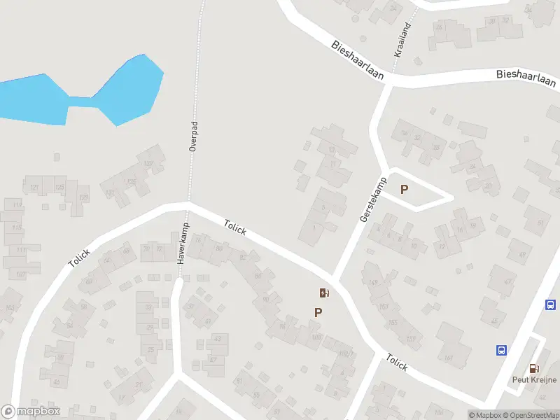 Brandweer met gepaste spoed naar de Kraailandhof in Hoogland