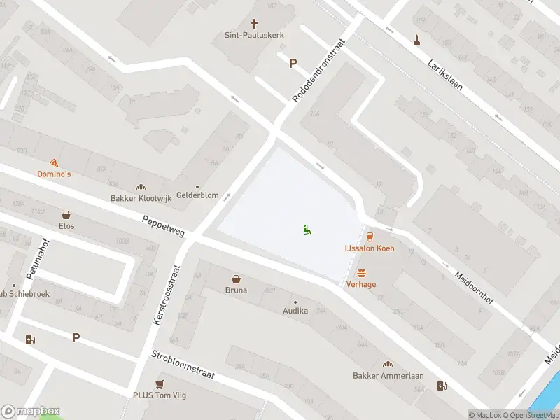 Ambulance met grote spoed naar de Rododendronplein in Rotterdam