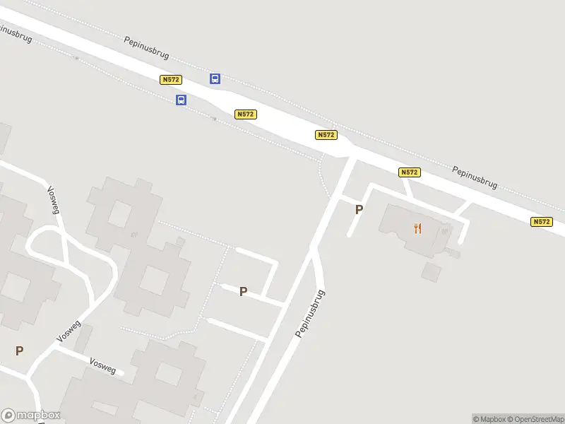 Overlastmelding Pepinusbrug in Echt