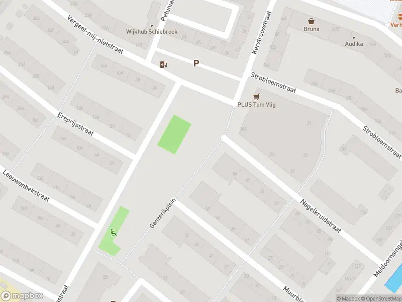 Ambulance met gepaste spoed naar de Ganzerikplein in Rotterdam