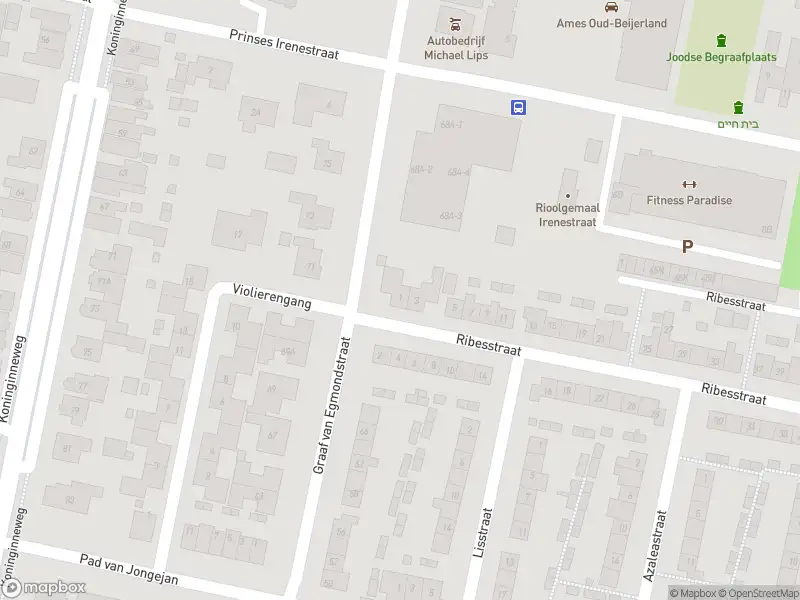 Overlastmelding Ribesstraat in Oud-Beijerland