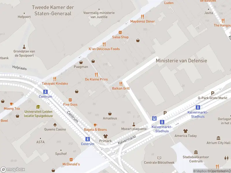 Ambulance met gepaste spoed naar de Bagijnestraat in 's-Gravenhage