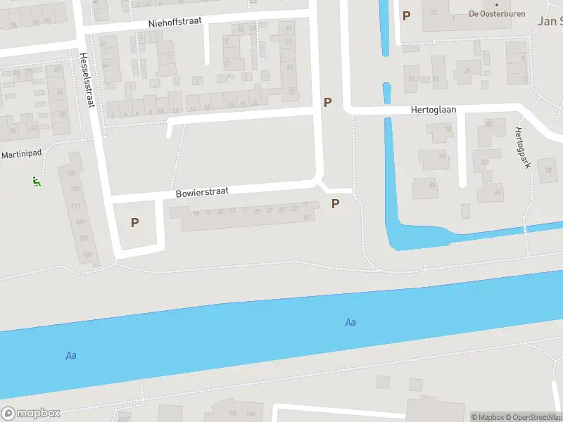 Overlastmelding Bowierstraat in 's-Hertogenbosch