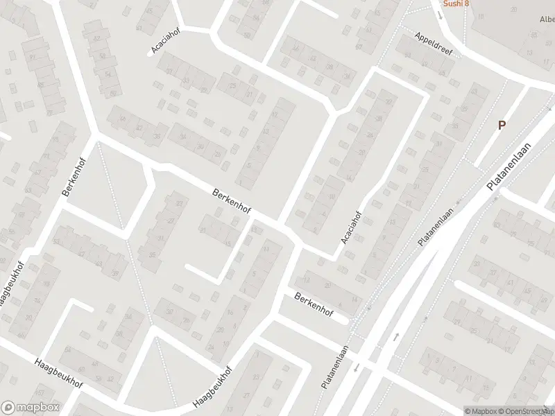 Ambulance met gepaste spoed naar de Acaciahof in Papendrecht