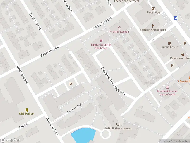 Overlastmelding Doude van Troostwijkplein in Loenen aan de Vecht gesloten