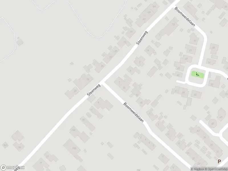 Overlastmelding Steenweg in 4423AL Schore