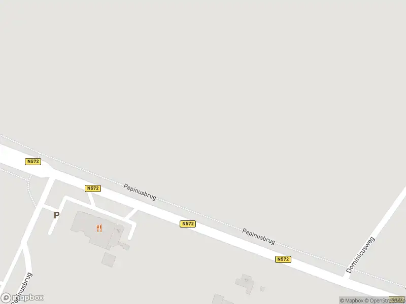 Overlastmelding Pepinusbrug in Echt gesloten