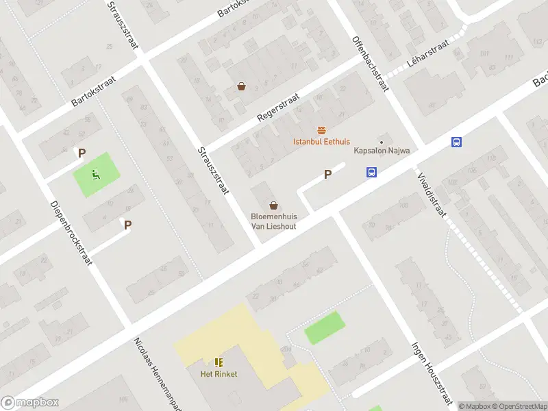 Overlastmelding Bachplein in Heemskerk