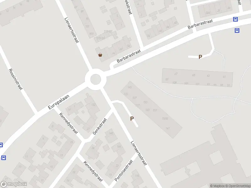 Overlastmelding Lienaertsstraat in Geleen gesloten