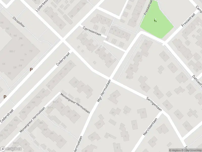 Overlastmelding Monseigneur Hermuslaan in Sint-Michielsgestel