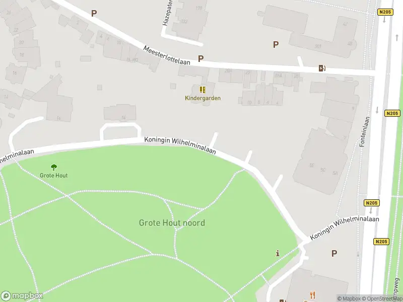 Ambulance met gepaste spoed naar de Westerhoutpark in Haarlem