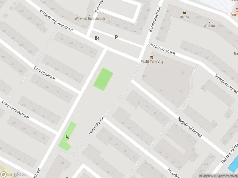 Ambulance met grote spoed naar de Ganzerikplein in Rotterdam