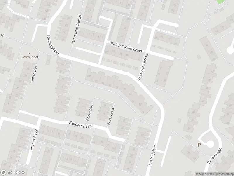 Traumahelikopter met grote spoed naar de Kastanjelaan in Bleiswijk