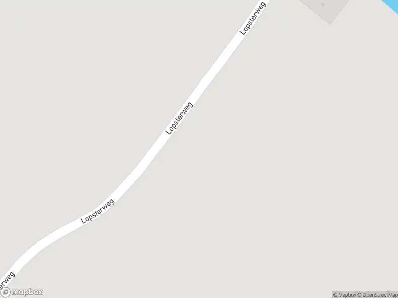 Politie met grote spoed naar de Delleweg in Stedum vanwege ongeval met letsel