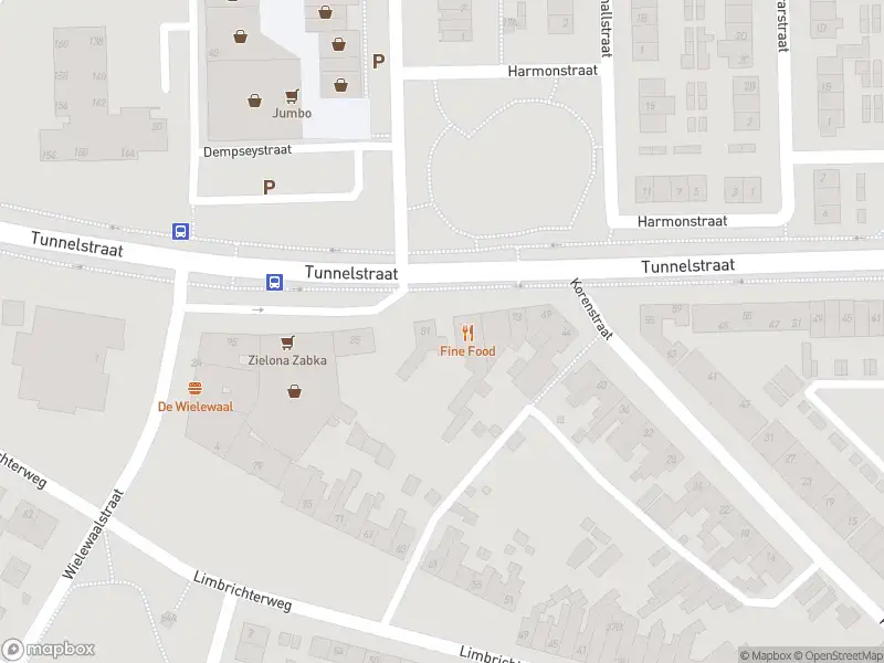 Anonieme overlastmelding Tunnelstraat in Sittard gesloten