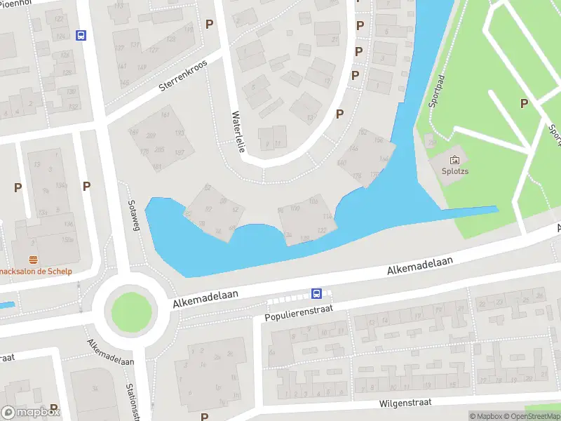 Anonieme overlastmelding Waterlelie in Roelofarendsveen