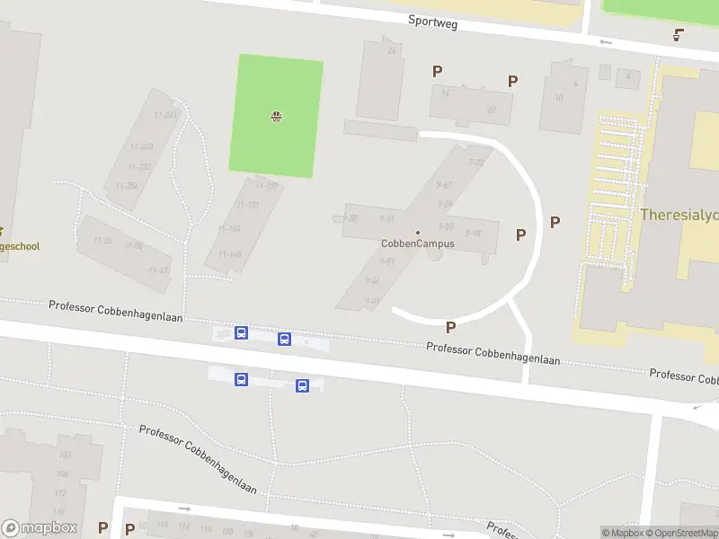 Overlastmelding Professor Cobbenhagenlaan in Tilburg